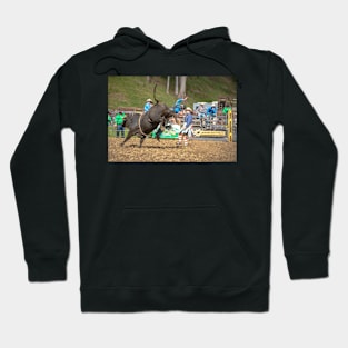 RODEOS, HORSES, COWBOYS Hoodie